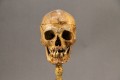 Memento mori (II) 