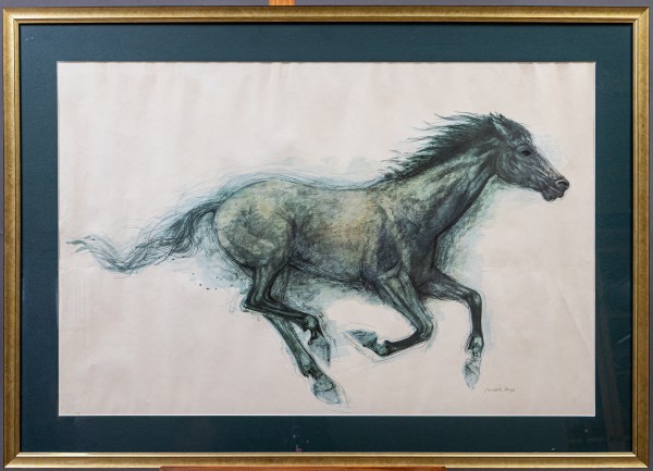 Malarz nieznany, Galop